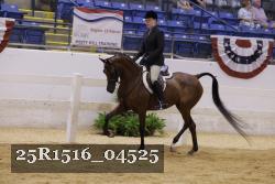 25R1516_04525 thumbnail