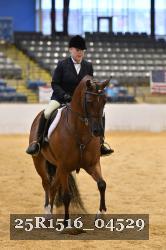 25R1516_04529 thumbnail
