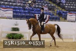 25R1516_04531 thumbnail