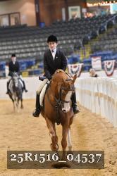 25R1516_04537 thumbnail