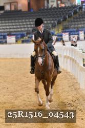 25R1516_04543 thumbnail