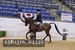 25R1516_04549 thumbnail