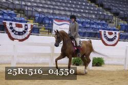 25R1516_04550 thumbnail