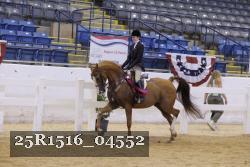 25R1516_04552 thumbnail