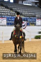 25R1516_04564 thumbnail