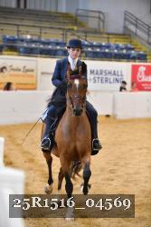 25R1516_04569 thumbnail