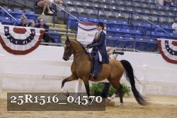 25R1516_04570 thumbnail