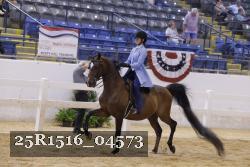 25R1516_04573 thumbnail