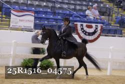 25R1516_04575 thumbnail
