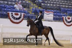 25R1516_04577 thumbnail