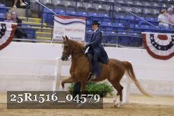 25R1516_04579 thumbnail