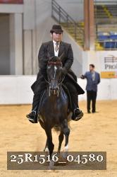 25R1516_04580 thumbnail