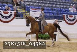 25R1516_04582 thumbnail