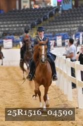 25R1516_04590 thumbnail