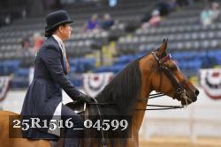 25R1516_04599 thumbnail