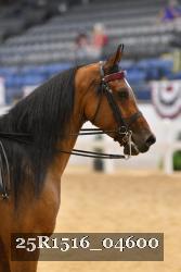 25R1516_04600 thumbnail