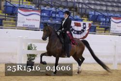 25R1516_04606 thumbnail