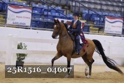 25R1516_04607 thumbnail