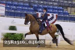 25R1516_04608 thumbnail