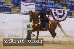 25R1516_04614 thumbnail