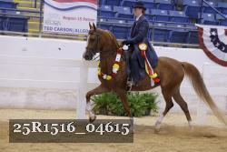25R1516_04615 thumbnail