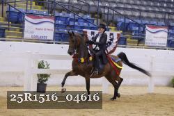25R1516_04616 thumbnail