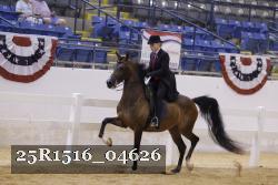 25R1516_04626 thumbnail