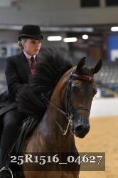 25R1516_04627 thumbnail