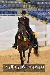 25R1516_04640 thumbnail