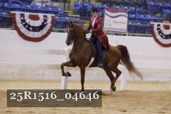 25R1516_04646 thumbnail