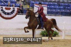 25R1516_04647 thumbnail