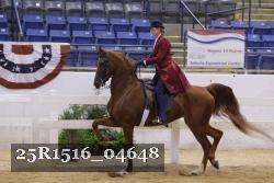 25R1516_04648 thumbnail