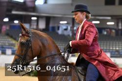 25R1516_04651 thumbnail