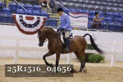 25R1516_04656 thumbnail