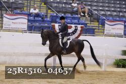 25R1516_04657 thumbnail