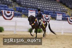 25R1516_04671 thumbnail