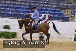 25R1516_04678 thumbnail