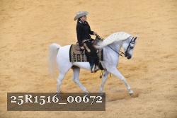 25R1516_00672 thumbnail