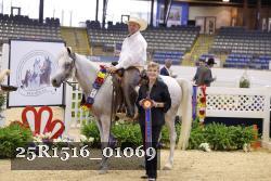 25R1516_01069 thumbnail