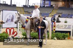25R1516_01070 thumbnail