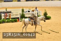 25R1516_01942 thumbnail