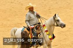 25R1516_02075 thumbnail