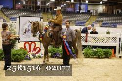 25R1516_02077 thumbnail