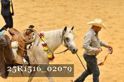 25R1516_02079 thumbnail