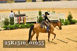 25R1516_01955 thumbnail