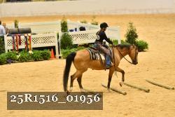 25R1516_01956 thumbnail