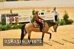 25R1516_01972 thumbnail