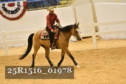 25R1516_01978 thumbnail