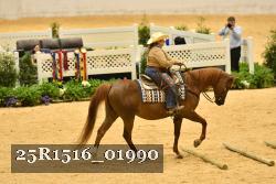 25R1516_01990 thumbnail
