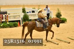 25R1516_01991 thumbnail